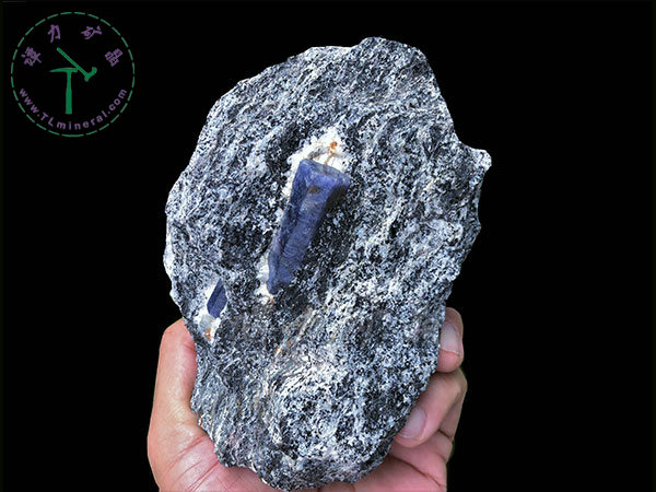 藍寶石+片麻巖，馬達加斯加，--13x9x5，主晶：4.0x1.5x1.5